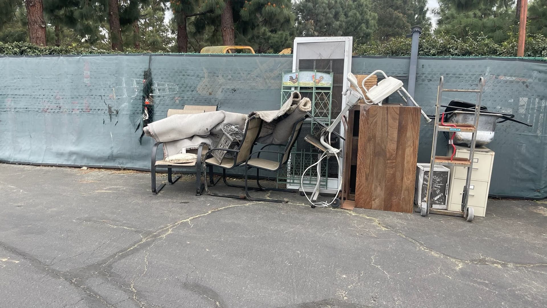 Efficient Yard Clean-Up by Brothers Junk Removal image